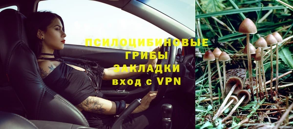 apvp Пестово