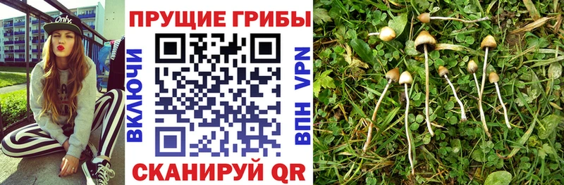 Псилоцибиновые грибы мухоморы  Тейково 